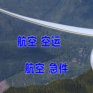 鄂伦春航空托运快递-选东方航空和上海航空