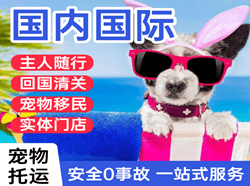 鄂伦春航空托运国际宠物托运 【国
